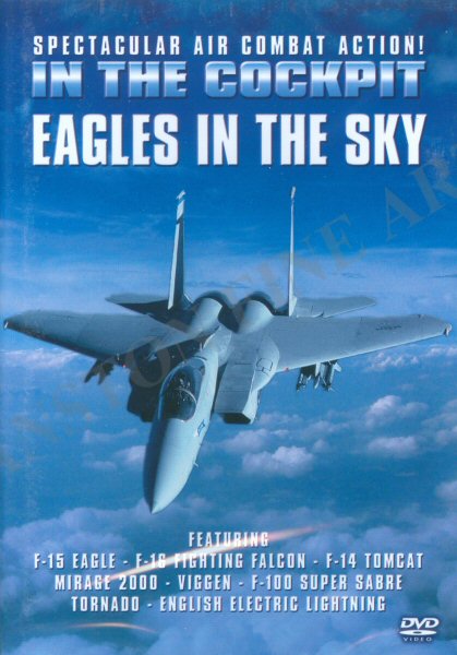 In The Cockpit : Eagles in the Sky.