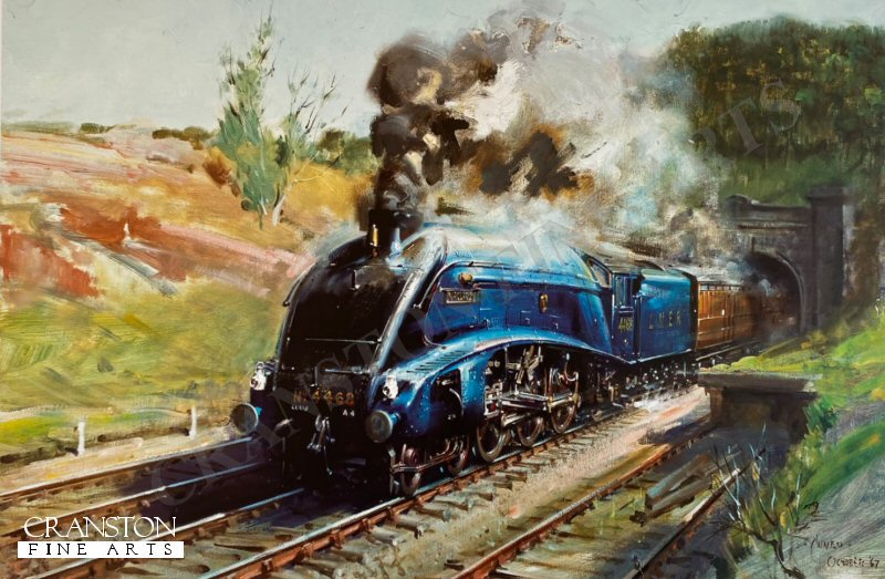 Mallard by Terence Cuneo
