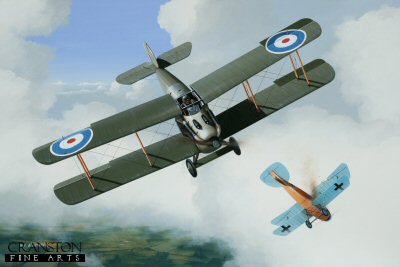 DHM1746PC. Major Albert Carter by Ivan Berryman. <p> The Sopwith Dolphin was a radical departure from previous Sopwith design philosophies, embodying a reverse-stagger on the wings, a water-cooled Hispano-Suiza engine and an unusual, but highly popular positioning of the cockpit which gave the pilot unprecedented views. One exponent of this purposeful looking machine was Canadian Major A D Carter who claimed many of his 31 victories flying the Dolphin. He is shown here sending an Albatross to the ground on 8th May 1918 whilst flying C4017. Carter was himself shot down soon after became a prisoner of war. He was killed in 1919 whilst test flying a Fokker D.VII at Shoreham, Sussex. <b><p>Collector's Postcard - Restricted Initial Print Run of 100 cards.<p>Postcard size 6 inches x 4 inches (15cm x 10cm)