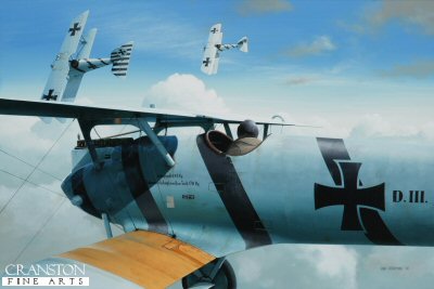 DHM1748PC. Oberleutnant Oskar Freiherr von Boenigk by Ivan Berryman. <p>Opening his victory tally by shooting down a Sopwith Camel in July 1917, von Boenigk proved himself to be a fine airman and a keen marksman by claiming a further five enemy aircraft by the end of that year. He continued to score steadily until the wars end, being credited with an eventual 26 kills. He went on to serve in the Luftwaffe during World War II, attaining the rank of Major-General, but was taken prisoner by the Russians in 1945 and died in captivity the following year. He is shown here in Pfalz D.III 1936/17 whilst serving with Jasta 4, whose aircraft were immediately recognisable by the black spiral ribbon applied to their fuselages. Von Boenigk is believed to have scored seven of his victories in this machine. <b><p>Collector's Postcard - Restricted Initial Print Run of 100 cards.<p>Postcard size 6 inches x 4 inches (15cm x 10cm)