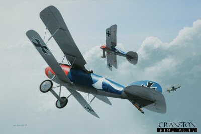 DHM1752PC. Leutnant d R Paul Strahle by Ivan Berryman. <p>The distinctive blue and red livery of these two Albatros D.Vs identify them as Jasta 18 machines in Berthold Colours, a reference to their commander at that time, Oblt Rudolf Berthold. The nearest aircraft is that of Leutnant der Reserve Paul Strahle who scored six victories with this unit before taking his aircraft (4594/17) with him to Jasta 57 where he would score a further 8. Each aircraft carried a personal emblem, in the case of Strahle a white axe whilst the similar aircraft of Ltn d R Arthur Rahn displays a diamond pattern. The fuselage crosses on both aircraft were crudely painted over and are still just visible beneath the blue. <b><p>Collector's Postcard - Restricted Initial Print Run of 100 cards.<p>Postcard size 6 inches x 4 inches (15cm x 10cm)