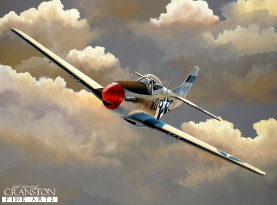 Tribute to Don Blakeslee by Ivan Berryman.