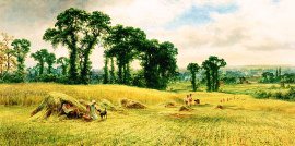 Harvesting by Robert Gallon. (GL)