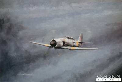 MR43.  Testing Times by Michael Rondot. <p>Of all the big piston-engined navy fighters built after WWll, the Hawker Sea Fury was the greatest.Rugged, powerful and fast, the formidable Sea Fury achieved fame over Korea in both fighter and ground attack roles and was the last of the line of piston-engined Fleet Air Arm fighters.<b><p>Signed limited edition of 500 prints. <p> Paper size 25 inches x 19 inches (64cm x 48cm)