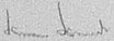 The signature of SS Oberscharfuhrer Werner Wendt (deceased)