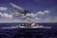  A swordfish from HMS Warspite on patrol off the coast of Egypt, near the port of Alexandria. 