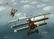  The aerial battle of 21st April 1918 was notable for involving two young novice pilots, each from opposing sides, and their part in the events that followed was as significant as it was tragic. Both William Wop May and Wolfram Ulf von Richthofen had been instructed to stay out of trouble, to remain on the very outskirts should a battle occur and simply get used to being in the sky with so many other aircraft. Delighted to have been assigned to Jasta 11 under the custodianship of his older, eminent cousin, Manfred, Wolfram was eager to cut his teeth and show that he, too, could get the job done. Both he and May kept a watchful vigil over proceedings from a safe distance as battle was joined between the red-nosed Fokker DR.1s of Jasta 11, the green-tailed Albatrosses of Jasta 5 and the RFC Sopwith Camels of 209 Squadron.  Somehow, whether through carelessness or the adrenalin rush of the moment, Wolfram flew his Fokker tantalisingly close to Mays Camel who immediately gave chase, sensing that an easy first kill might just be a possibility. May quickly realised that all was not well, however, finding his guns jammed and unable to fire. He quickly broke off the attack and swooped away, but his actions had caught the attention of Manfred von Richthofen who, although engaged in a battle of his own, had been keeping a watchful eye over his young charge. The red Triplane now latched onto the tail of Mays helpless Camel and a lurid chase began along the Somme River, a chase from which the Red Baron would not return.  The young Wolfram went on to become an ace, scoring all of his eight victories in the closing months of the war, was awarded the Iron Cross 1st and 2nd and survived to be a major force in Hitlers Luftwaffe in World War Two. He was eventually taken prisoner and spent his last months in an American PoW camp where he died of a brain tumour in 1945. 