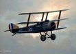  In this painting, the Sopwith Triplane N5468 named ANGEL of No.8 Naval Squadron is depicted around the time it was flying from St. Eloi in France in the summer of 1917.  This aircraft clocked up more than 150 flying hours here before being sent to a training squadron at the end of the year.  During this time, Captain Charles Jenner-Parson claimed at least two victories in this aircraft. 