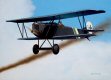 Flying with Jasta 7, Willi Nebgen scored four confirmed victories but sources suggest he shared in at least two others, meaning he most likely attained the magic number of 5 victories to make him an Ace.  Shown here in his Fokker D.VII in the summer of 1918, it was painted all black except for the green and white diagonal flash on the fuselage.  He was killed in action on 22nd October 1918 and is buried in West Flanders, Belgium.